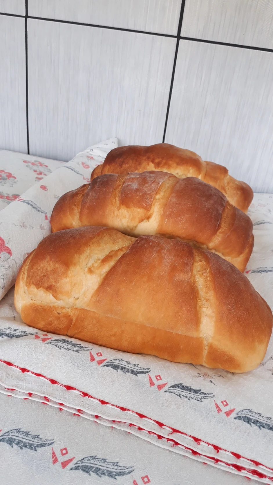 Primeiros três pães produzidos pela Pão de Casa em 2019